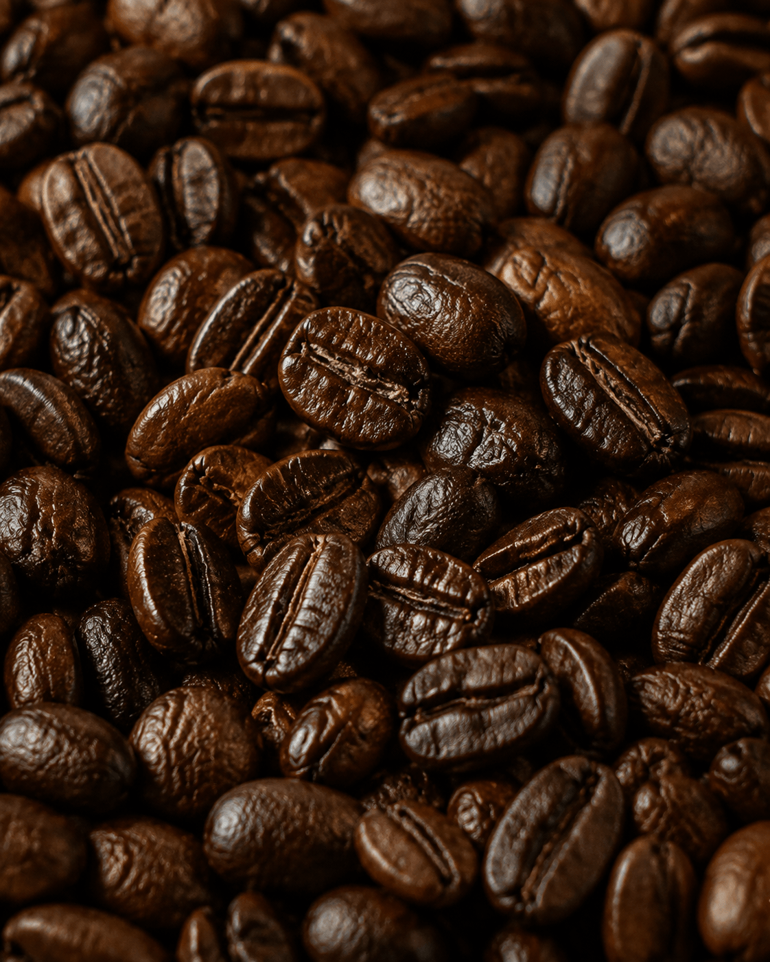 Coffee Bean Close-up — Espresso